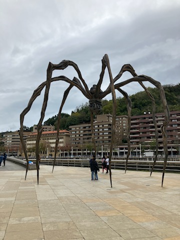 IMG 3381