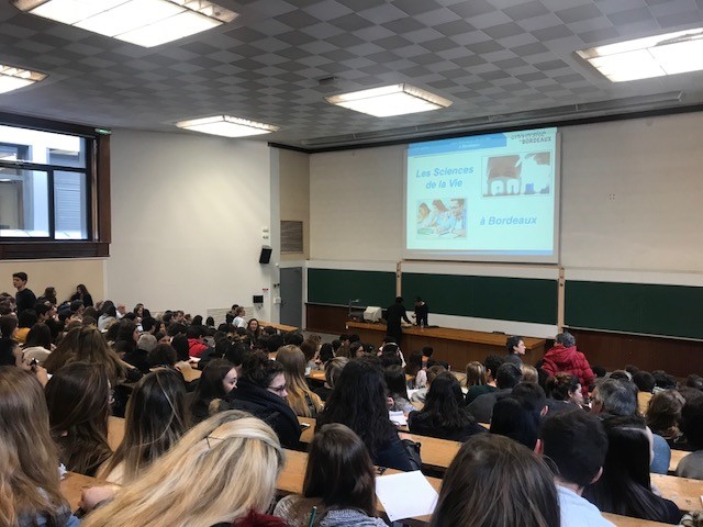 Universite1